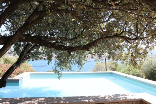 Villa le Mas de Pierre – Photos 2