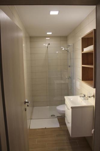a bathroom with a shower and a sink and a toilet at Petite Apartment in Maribor