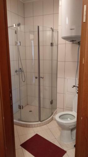 a bathroom with a shower and a toilet at Ski Apartment D50 Cedar Lodge 4 in Bansko