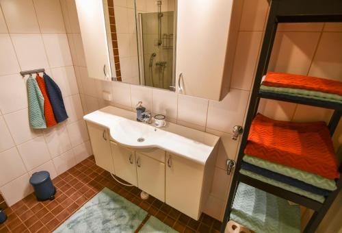 a bathroom with a sink and a bunk bed at Aurora Apartment Kilpisjärvi in Kilpisjärvi