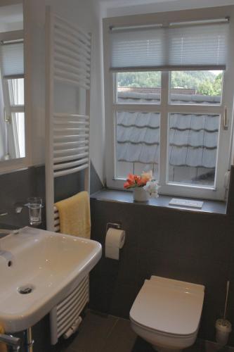 a bathroom with a sink and a toilet and a window at Gasthof Rose in Hornberg