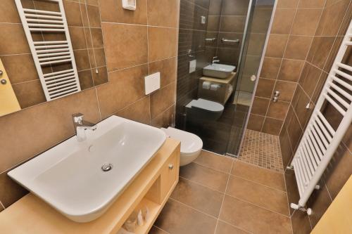 a bathroom with a sink and a toilet at Prenočišča Kogoj in Miren