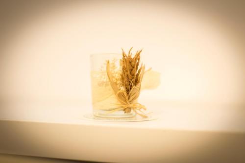 a glass vase with a plant in it on a shelf at Noviz Hotel in Plovdiv