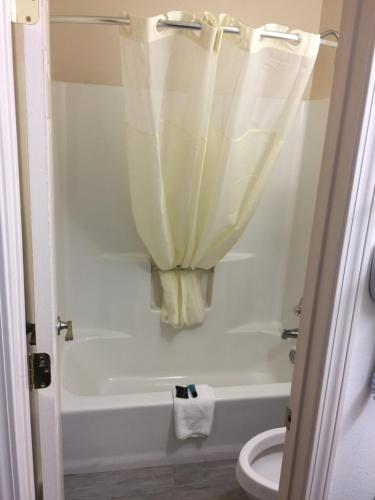 a bathroom with a tub and a toilet and a shower curtain at Americas Best Value Inn Tuscaloosa in Tuscaloosa
