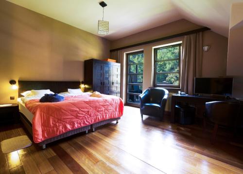 希維拉杜夫茲德魯伊的住宿－Boutique Hotel Sudetia - Medical & SPA，一间卧室配有一张床、一张书桌和一台电视