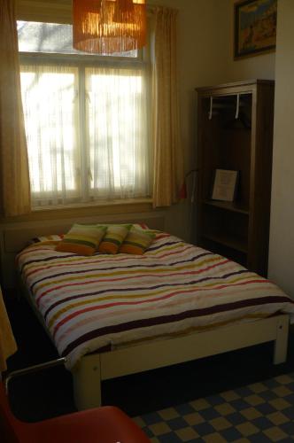 a bed in a bedroom with a window at Amsterdam Beach Apartment in Zandvoort