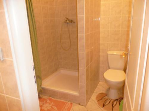 Němčice的住宿－烏巴努高級旅館，带淋浴和卫生间的浴室