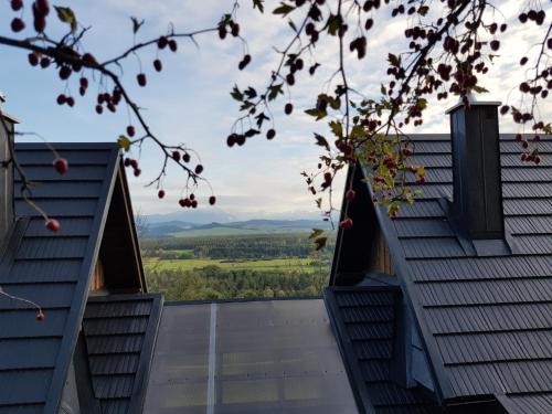 a view from the roof of a house at Osada Knurów in Knurów