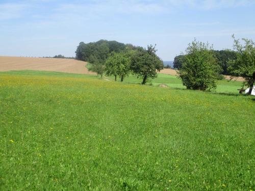 a field of green grass with trees in the background at Blumenschein-Ferienwohnung Unne in Kirchzell