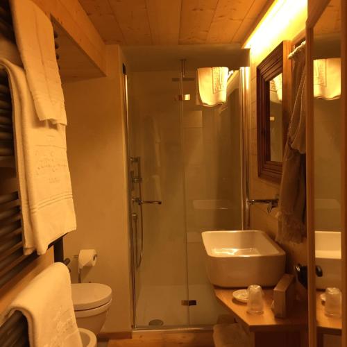 a bathroom with a shower and a sink and a toilet at Alpine Chalet in Santa Caterina Valfurva