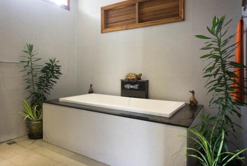 Villa Topaz في شاطئ ليم سي: حوض استحمام في غرفة بها نباتات