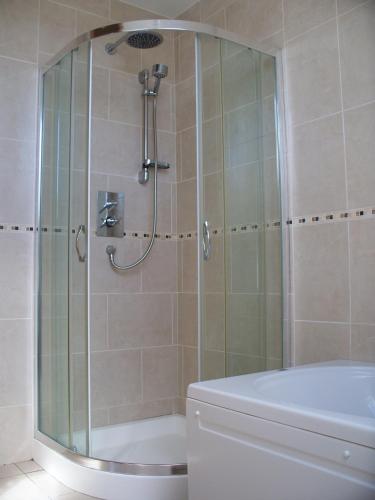 a bathroom with a shower with a tub and a toilet at Blackberry Lodge Accommodation in Doolin