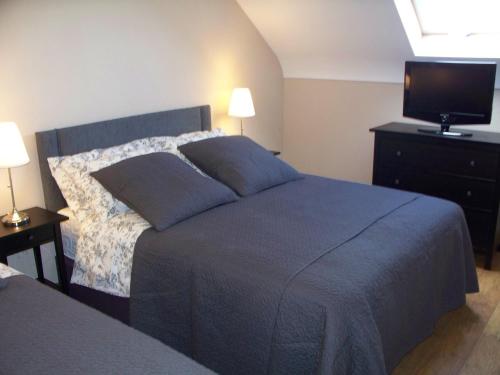 a bedroom with a bed and a flat screen tv at Blackberry Lodge Accommodation in Doolin