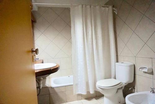 a bathroom with a toilet and a sink and a shower at Bella Vista in San Carlos de Bariloche