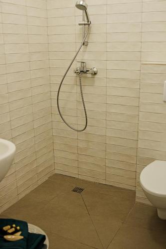 a bathroom with a shower and a toilet at Centro apartamentai in Birštonas