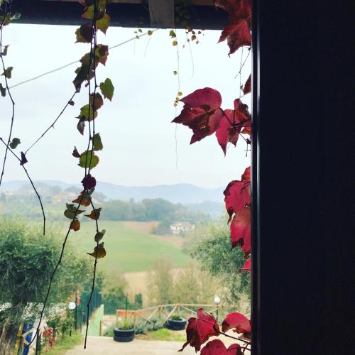 a window with red leaves and a view of a field at Il Pozzo Country House in Collescipoli