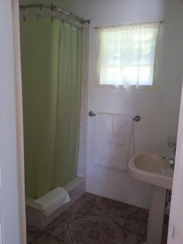 a bathroom with a shower and a sink at Polish Princess Guest House in Port Antonio