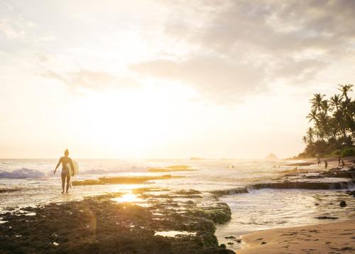 a man walking on the beach with a surfboard at Jamu Surf Lodge in Midigama