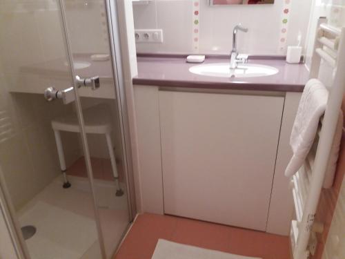 une salle de bain avec un lavabo et une douche dans l'établissement Mer et campagne, à Ploemeur
