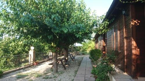 a tree and benches next to a building at La Quiete in Montenero di Bisaccia