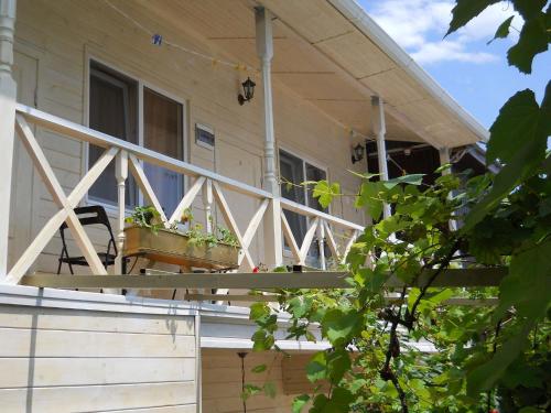 a porch of a house with two potted plants on it at Добрый Лев in Sukhum