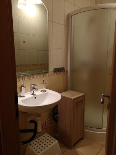 Koupelna v ubytování Telgárt Apartmán č.12