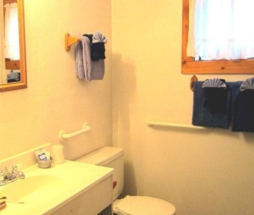 a bathroom with a toilet and a sink and a mirror at Circle K Ranch in Rico
