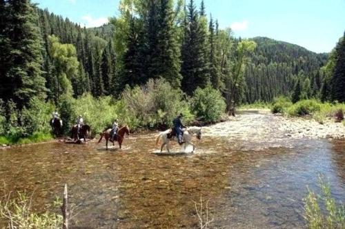 a group of people riding horses across a river at Circle K Ranch in Rico