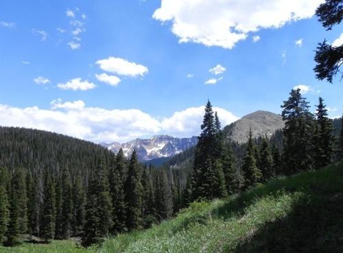 a green hill with trees and mountains in the background at Circle K Ranch in Rico