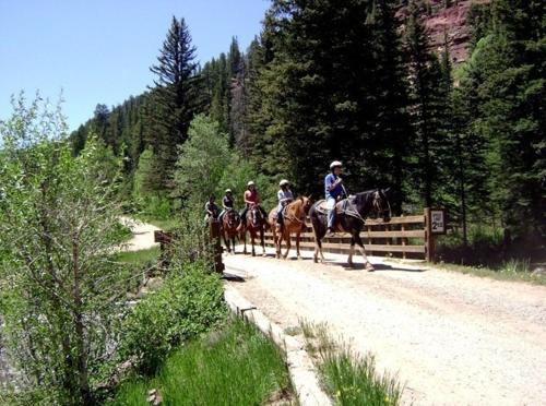 a group of people riding horses down a dirt road at Circle K Ranch in Rico
