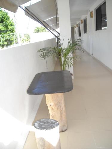 a black bench sitting in a hallway with a plant at Kukulcan by Emotion in Tulum