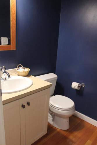 a bathroom with a white toilet and a sink at Siennas Harbour House in Tofino