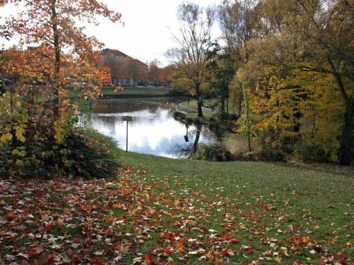 a pond in a park with autumn leaves on the grass at a lovely nest in Bussy-Saint-Georges