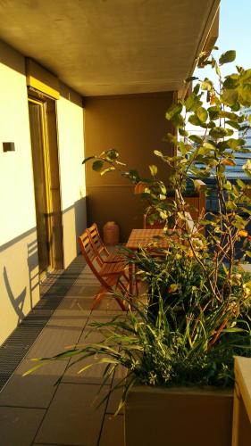 Charming Apartment with Viennese Flair