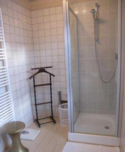 une salle de bain avec douche et toilettes dans l'établissement Gîte Le Relais Coq'Lys, à Mareuil-sur-Ay