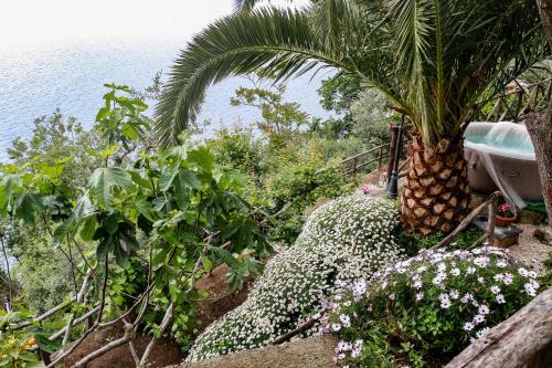 a garden with a palm tree and plants next to the water at La Palombara B&B in Vico Equense