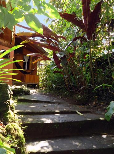 a path in the middle of a garden with plants at Cabañas Armonía y Jardín de Orquídeas in Mindo