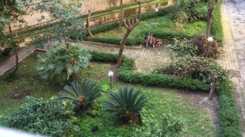 Cebollitas B&B