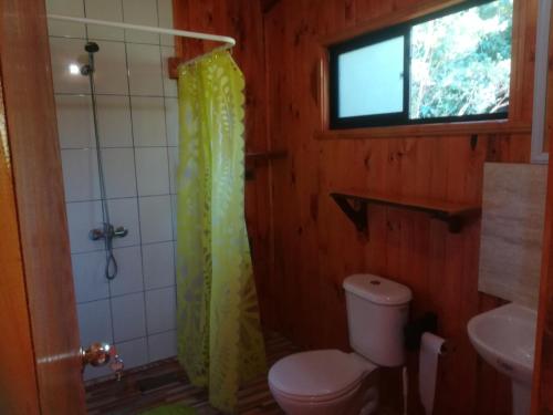 ein Bad mit einem WC, einem Fenster und einer Dusche in der Unterkunft Cabañas El Diuco en Coñaripe 1 in Coñaripe