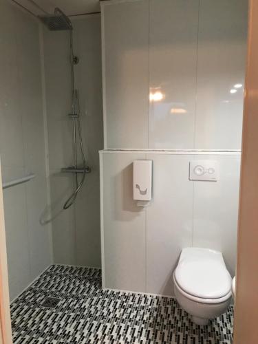 La salle de bains est pourvue d'une douche et de toilettes. dans l'établissement Hôtel le Rohu, à Séné