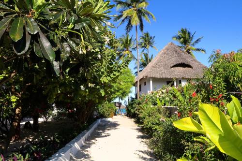 a path leading to a house with a thatch roof at Blue Oyster Hotel in Jambiani