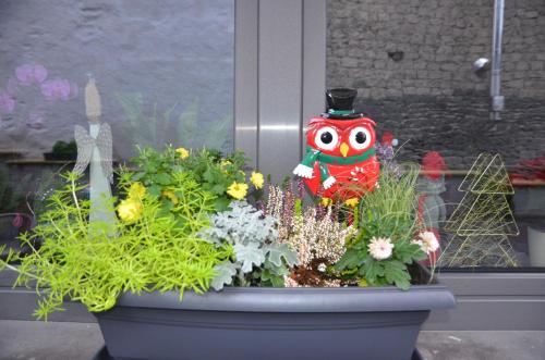 a planter filled with flowers and a plant with a clown at Gästehaus Am Hochsimmer in Ettringen