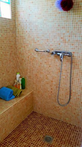 a shower in a bathroom with a tiled wall at Villa Adelaida in Órgiva