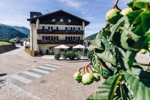 a building with a plant in front of it at Hotel Schönwies in Trodena