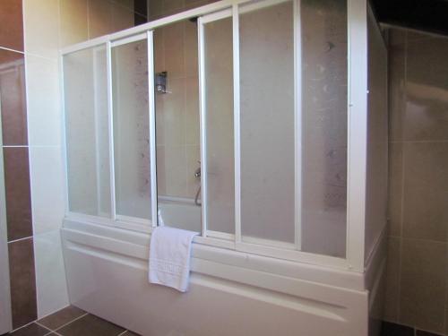 达利安达利安棕榈度假酒店的浴室设有玻璃门淋浴