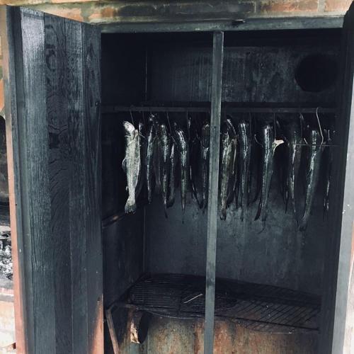 a rack of fish hanging on a wall at Domki Letniskowe Kalem in Zabin