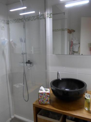 La salle de bains est pourvue d'un lavabo noir et d'une douche. dans l'établissement mini-villa, à Grosseto-Prugna