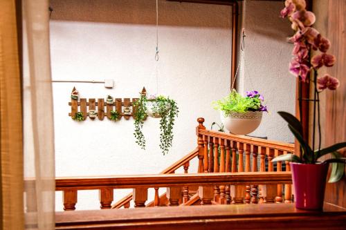 a balcony with two potted plants on a wall at Il Sogno di Gio de la Laguna in La Laguna