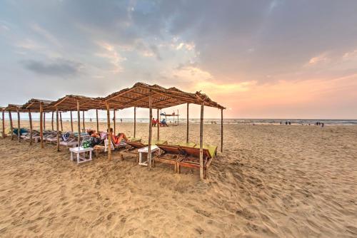 a group of chairs and umbrellas on a beach at Beach Street Eco Resort - Mandrem in Mandrem