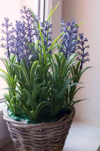 a basket filled with purple flowers in a room at Nice & Quiet Apartment in Best Area in Alexandroupoli